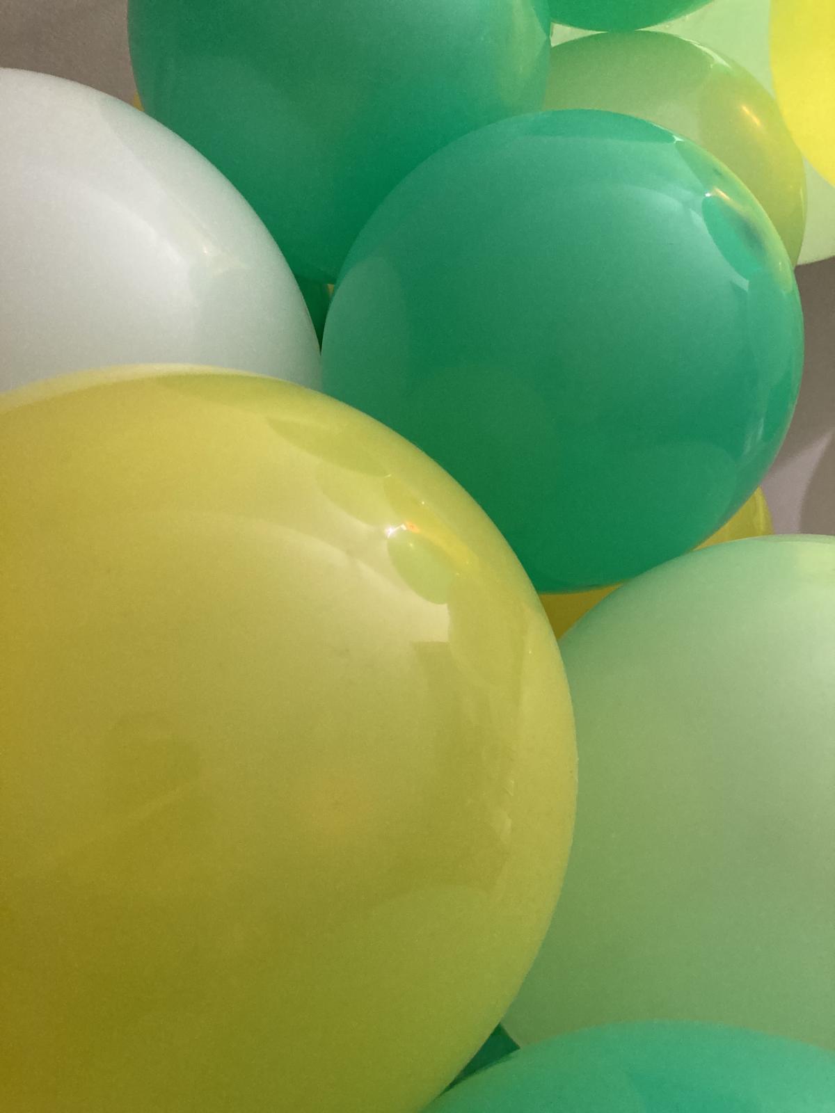 Bunte Luftballons | Foto: Stephan Da Re / fundus-medien.de