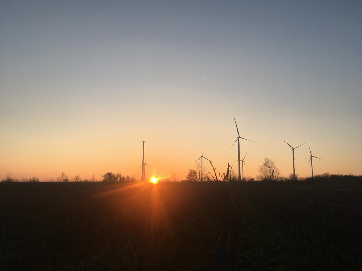 Sonnenuntergang im Herbst | Foto: Martin Vorländer / fundus-medien.de Sonnenuntergang im Herbst | Foto: Martin Vorländer / fundus-medien.de