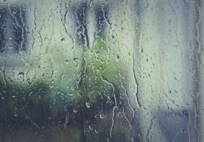 rain-stoppers-1461288 1280 | Foto: markusspiske pixabay
